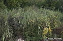 VBS_7511 - Andare lontano, oltre i campi da arare... e ancora più in là